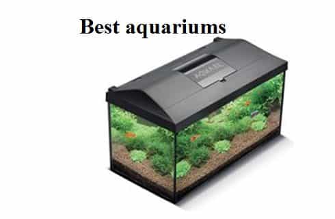 Best aquariums 2