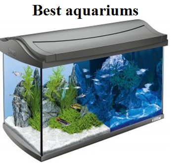 Best aquariums