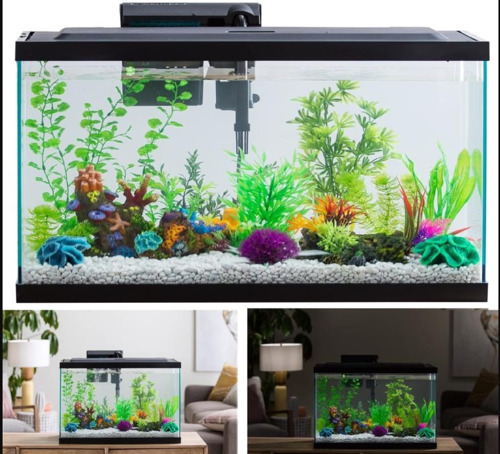 🥇🐠Best 29 gallon Aquarium – 29 gallon fish tank Reviews
