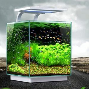 best 15 gallon fish tank