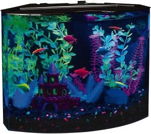 best beginner fish tanks
