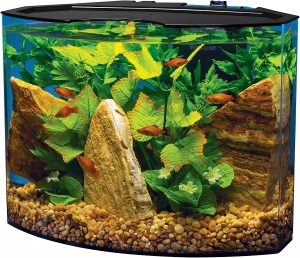 kids fish tank