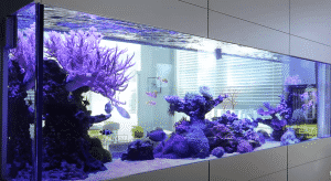 best aquarium led lighting