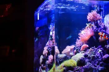What To Seek When Acquiring 30 Gallon Container