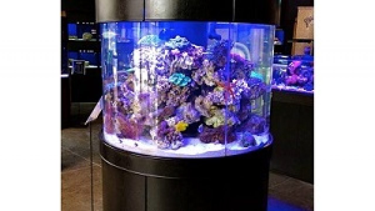 marina 360 aquarium filter replacement