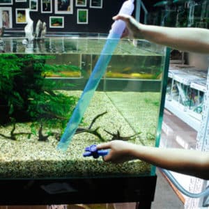 how to clean the aquarium