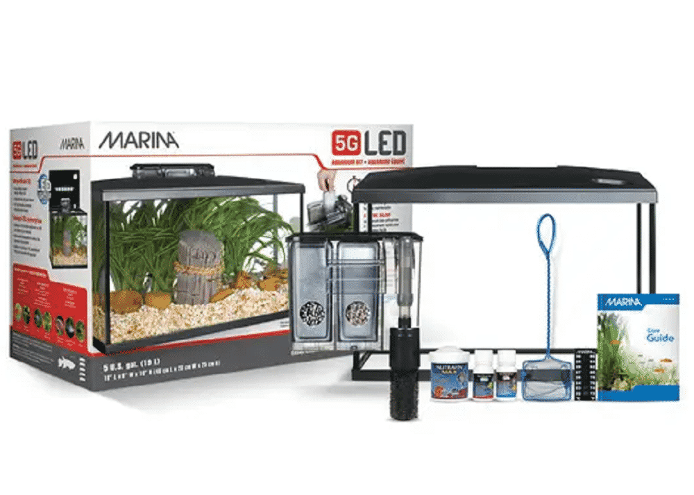 Best Fish Tanks For Beginners Reviewed in [year] CHAMPAGNE REEF