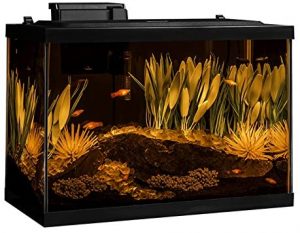 best 20 gallon fish tanks aquarium kits