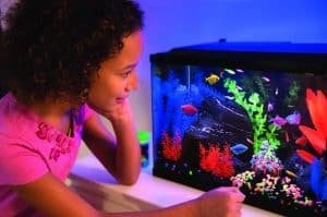 best 20 gallon fish tanks aquarium kits