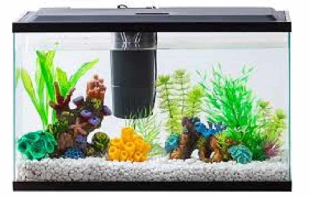 Best Filter For 20 Gallons Aquarium Buying Guide