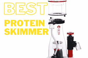 Best Protein Skimmer in 2023 | Customer Reviews