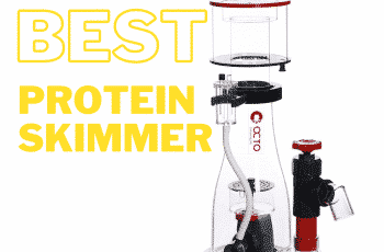 Best Protein Skimmer in 2023 | Customer Reviews