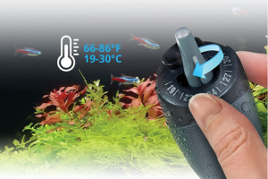 🥇 Best 100 Watt Heaters For Aquariums