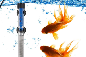 🥇 Best 200 Watt Heaters For Aquariums