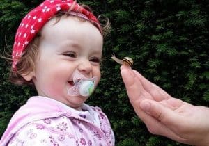 Is Having Snails in Fish Tank Good or Bad? 1 snails in fish tank good or bad