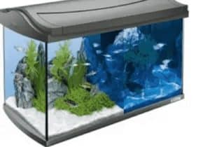 Best aquariums 1 best aquariums