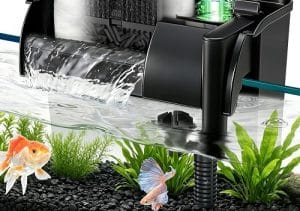 Editor’s Choice: Best 20 Gallon Aquarium Kits (2026 Updated) 1 Best 20 gallon aquarium kits